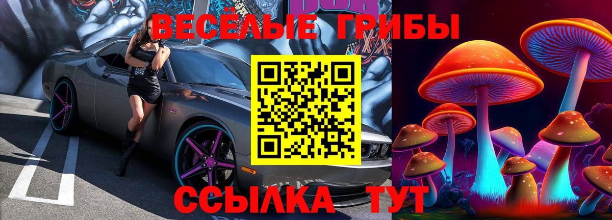 Галлюциногенные грибы Psilocybine cubensis  Вход с VPN  Ржев 